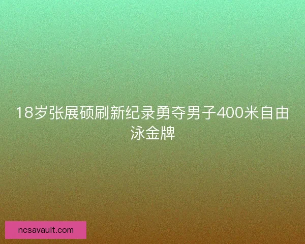 18岁张展硕刷新纪录勇夺男子400米自由泳金牌