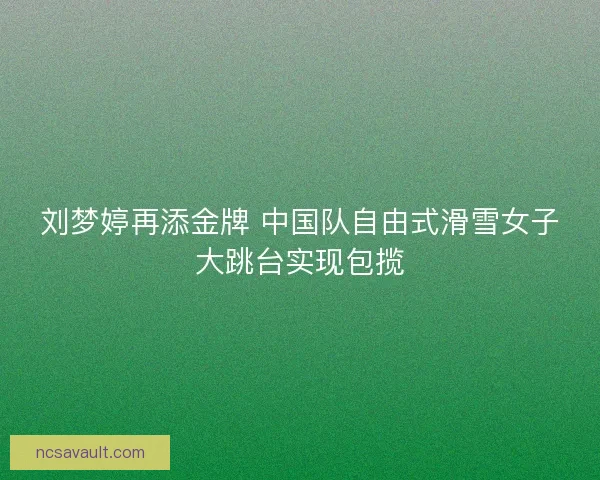 刘梦婷再添金牌 中国队自由式滑雪女子大跳台实现包揽